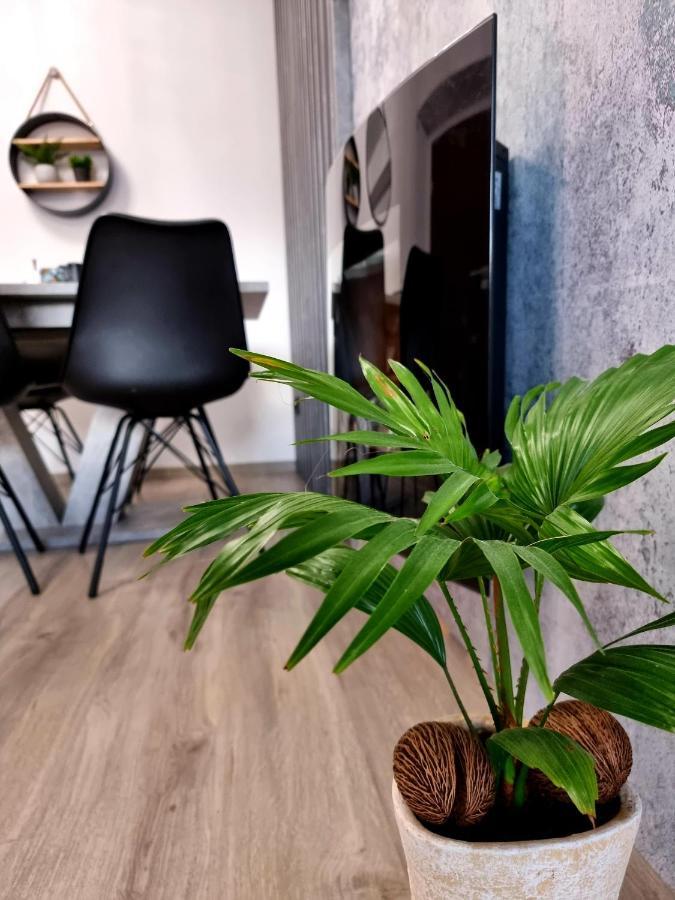 Apartament Jelonek W Karkonoszach 옐레니아구라 외부 사진