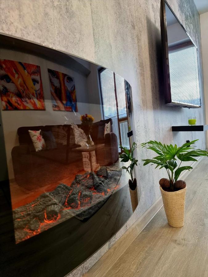 Apartament Jelonek W Karkonoszach 옐레니아구라 외부 사진