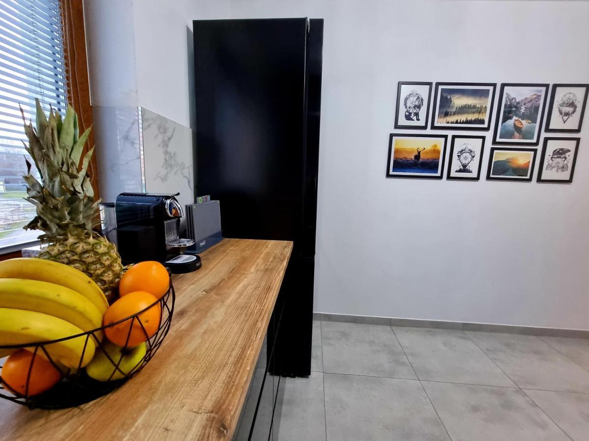 Apartament Jelonek W Karkonoszach 옐레니아구라 외부 사진