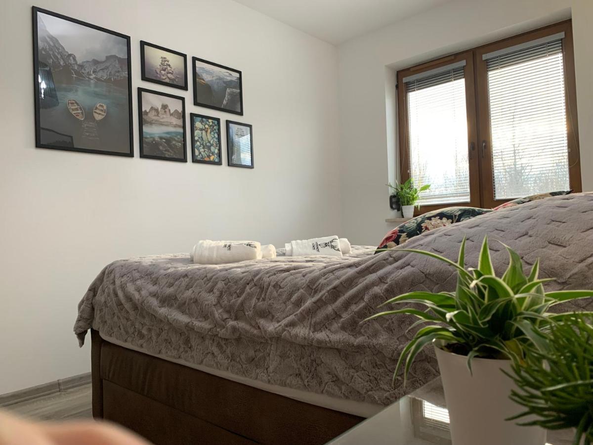 Apartament Jelonek W Karkonoszach 옐레니아구라 외부 사진